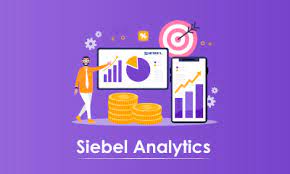 SIEBEL ANALYTICS